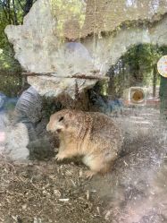 -乐zoo动物体验营