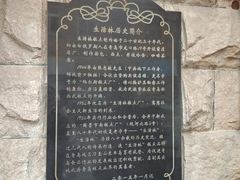-生活林(河北路店)