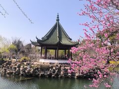 -无锡蠡湖国家湿地公园-蠡园