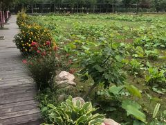-洪湖家庭农场·团建·露营·会议