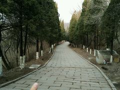 -高尔山公园