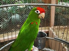 -南宫五洲植物乐园