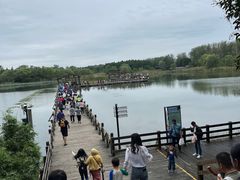 -溱湖国家湿地公园