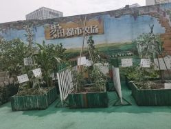 -梦田都市农场(银泰城店)