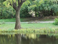 -上海共青森林公园