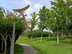 -亚沙水生植物园