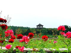 -西安汉城湖景区