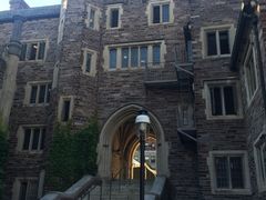-普林斯顿大学
