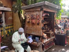 -奥兰多迪士尼动物王国乐园