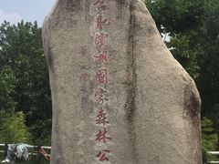 -合肥滨湖国家森林公园