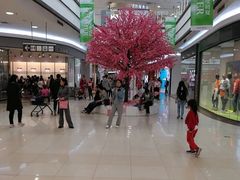 -永旺梦乐城国际商城(北清路店)