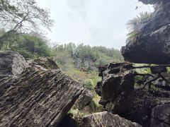 -梭布垭石林景区