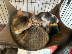 -七叔是岛民(花基新村店)