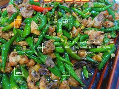 尖椒鸡-陈有良尖椒鸡(渝中旗舰店)