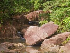 -广州白江湖森林公园