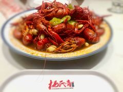 -杨氏青龙虾·羊蝎子(托乐嘉店)
