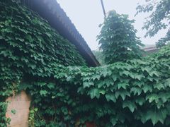 -红螺寺
