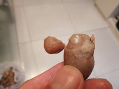 -洪湖里王姐大乌豆