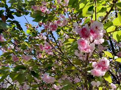 -长白岛森林公园