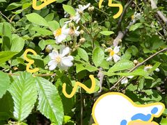 -羊山湖公园