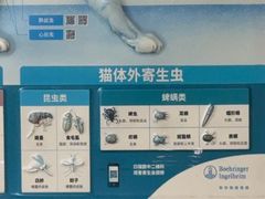 -宠颐生宠物医院外科·内科·皮肤科·影像科(石龙店)