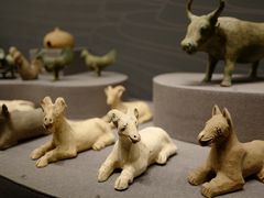 -广西壮族自治区博物馆