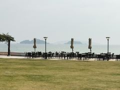 -采粤轩中餐厅(惠州金海湾喜来登度假酒店)