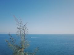 -广东惠东海龟国家级自然保护区