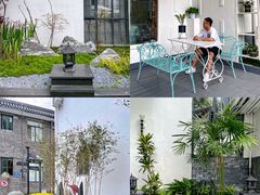 -印象泰和园(望丛西路店)