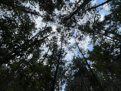 -森波拉奇妙世界