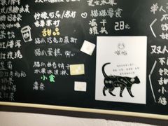 -喵屿·大理花园猫咖