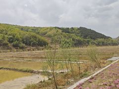 -南泥湾风景区