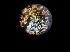 -贝林大翅鲸简餐厅(国家海洋博物馆店)