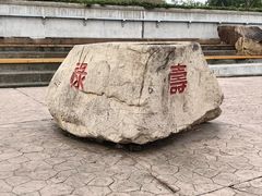 -上海滨江森林公园