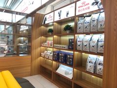 -可蒙动物医院·猫科·骨科中心(首义路店)