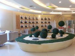大堂-青岛诺德医学美容医院