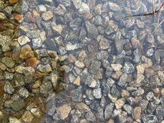 -广州神农草堂中医药博物馆