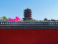 -黄鹤楼公园(黄鹤楼)