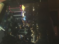 金陵饭店-南京金陵饭店