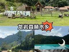-龙岩森林水乡景区