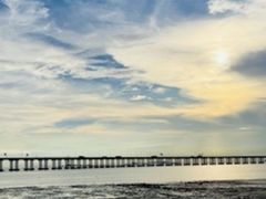 -宝安西湾红树林湿地公园