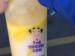 -一只酸奶牛(春熙路店)