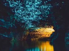 -怀托摩萤火虫洞