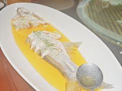 -金枝玉叶上海人家食府(三里河店)