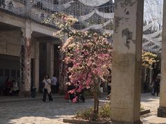 -赤坎·广东华侨国际旅游度假区