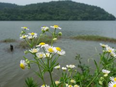 -南京市无想山景区