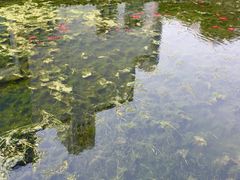 -苏州河梦清园环保主题公园