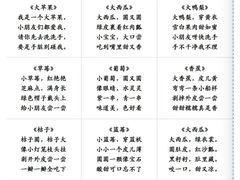 -澳洲袋鼠早教(南二环店)