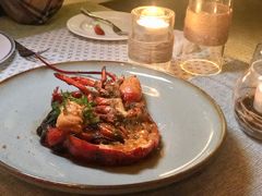 -蝶舍·MAISON PAPILLON