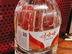 -1078號老北京涮肉(松柏店)